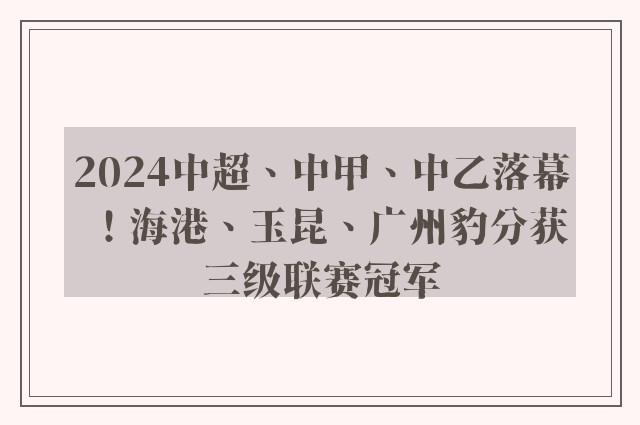 2024中超、中甲、中乙落幕！海港、玉昆、广州豹分获三级联赛冠军